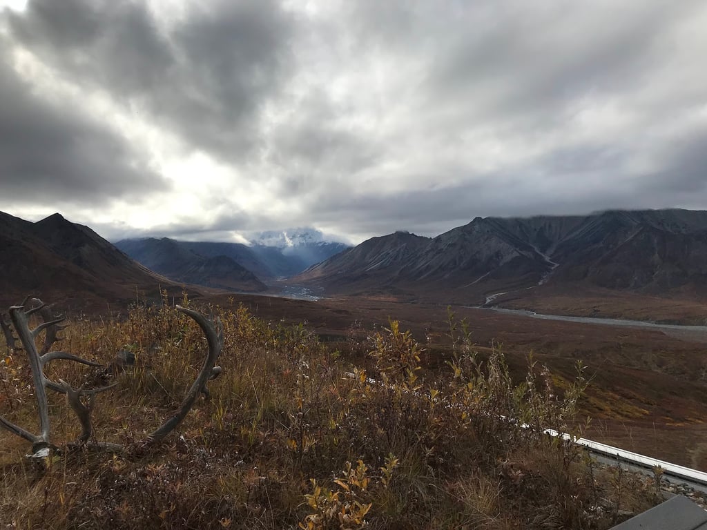 Eielson Visitor Center