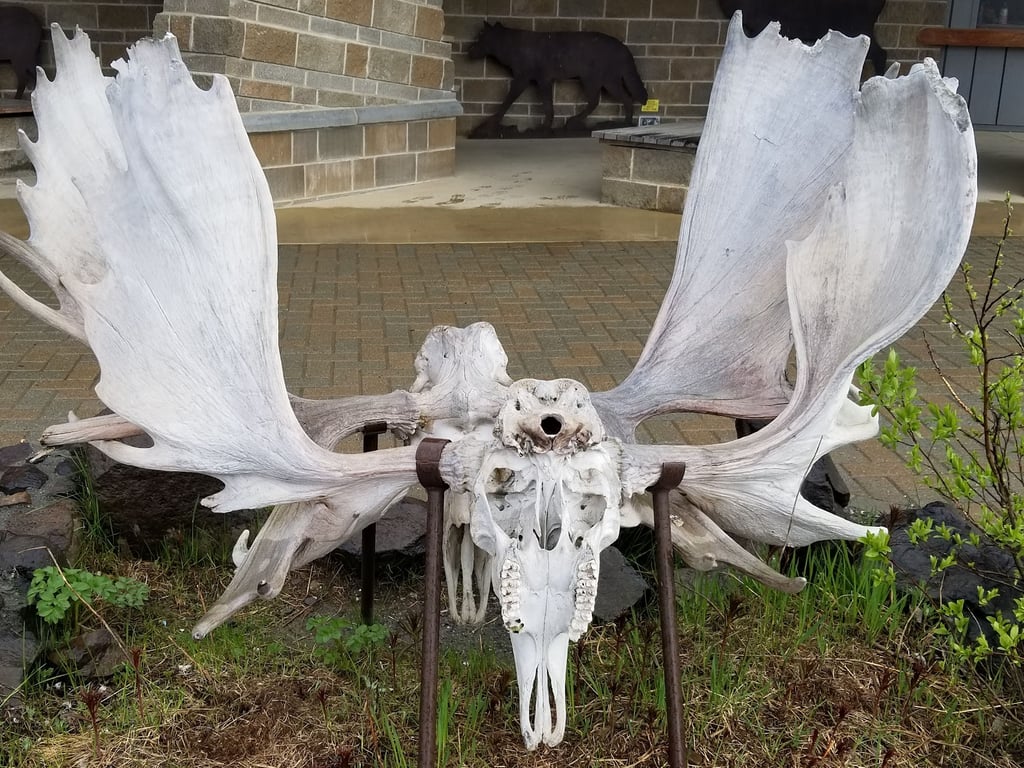 Eielson Visitor Center