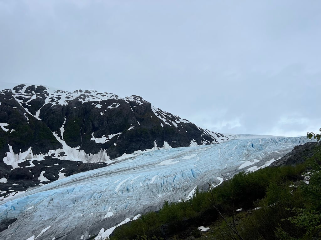 Exit Glacier