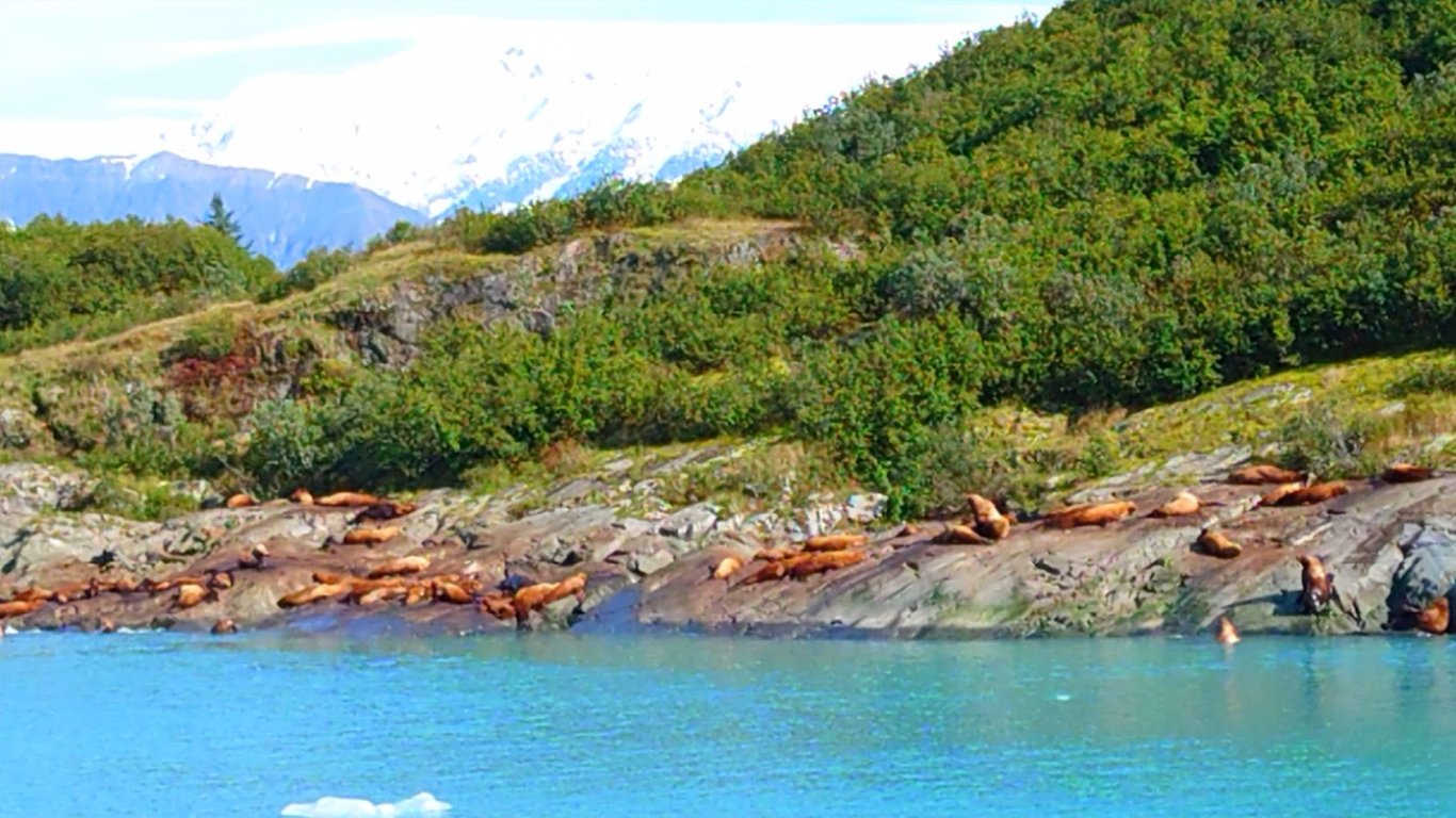 Hubbard Glacier