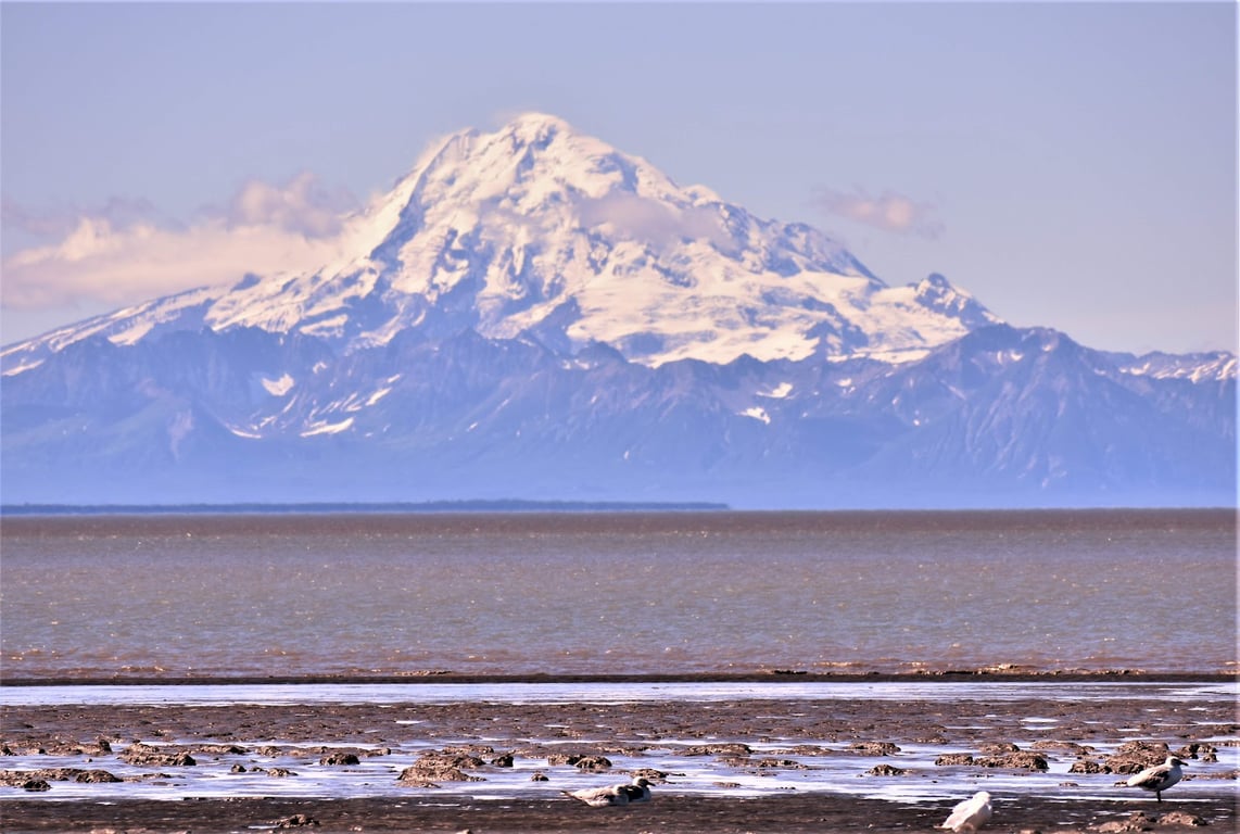 Kenai Beach