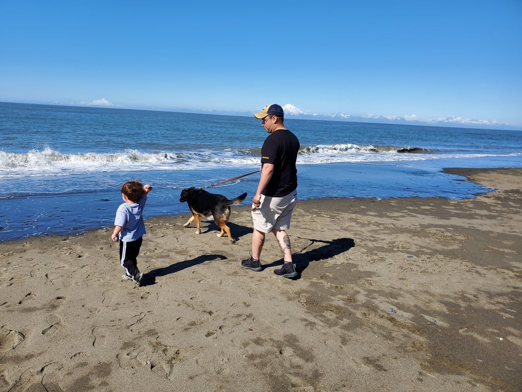 Kenai Beach