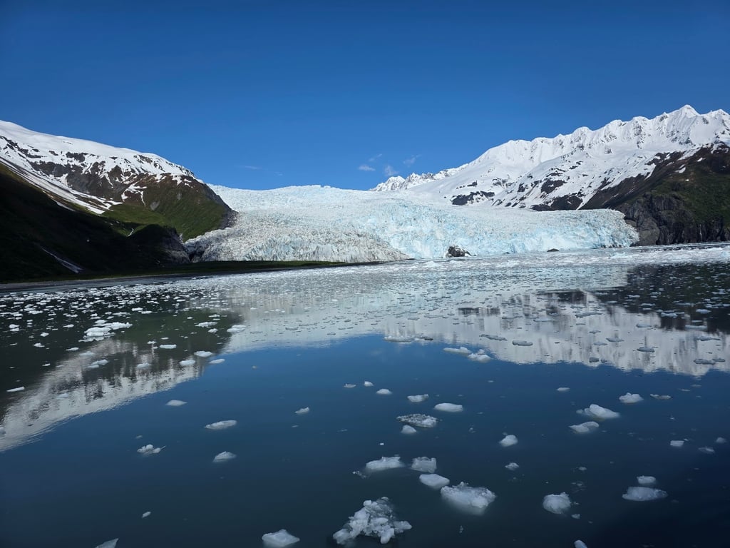 Kenai Fjords Boat Tour