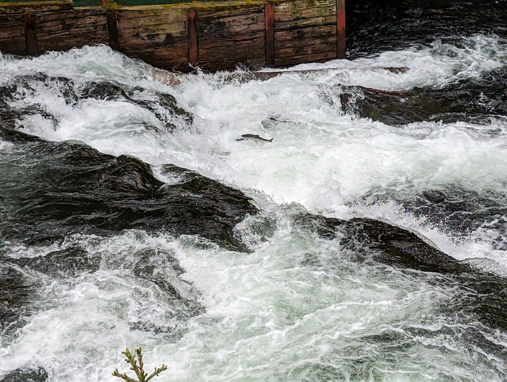 Russian River Falls