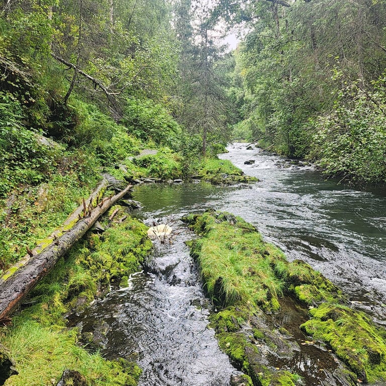 Russian River Falls