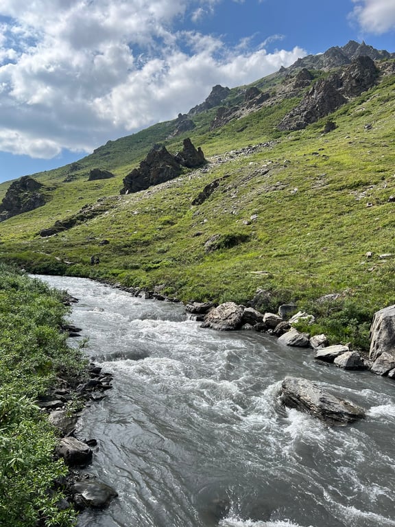 Savage River Loop Trail