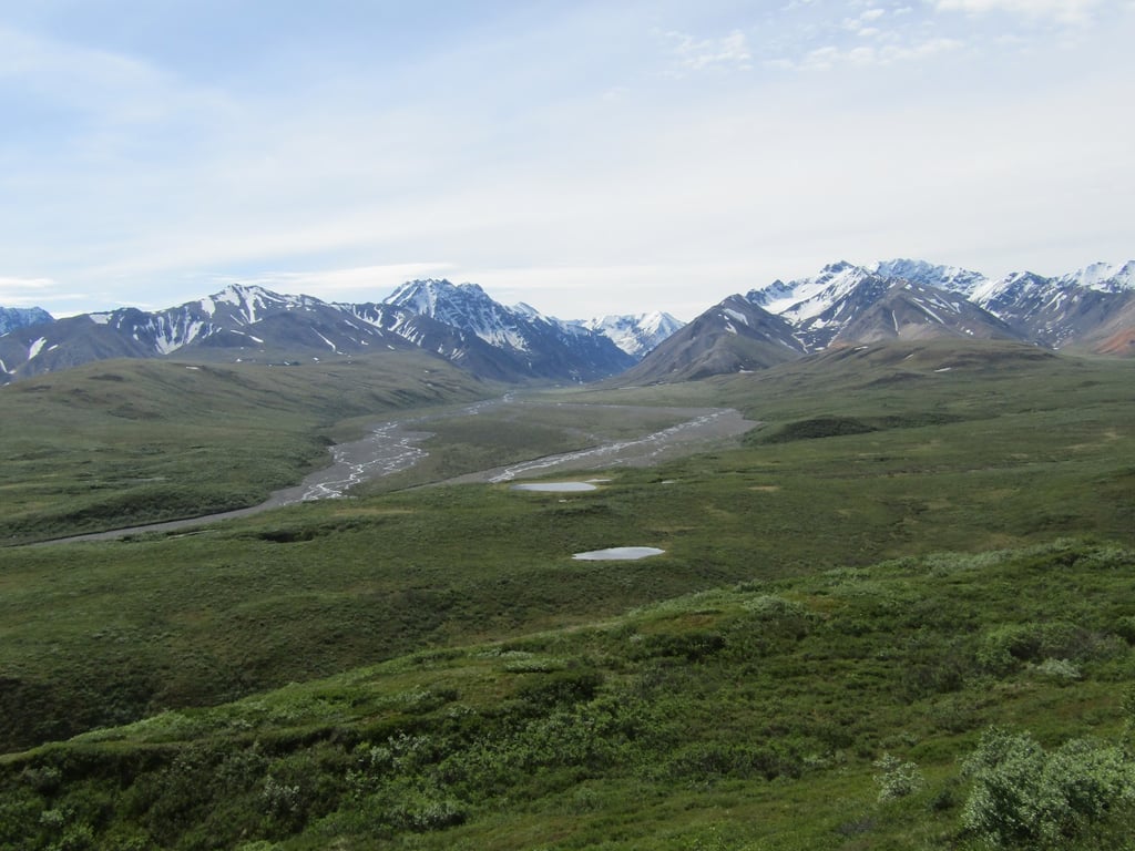 Savage River Loop Trail