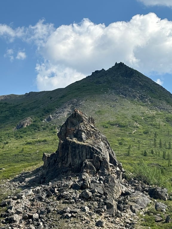 Savage River Loop Trail