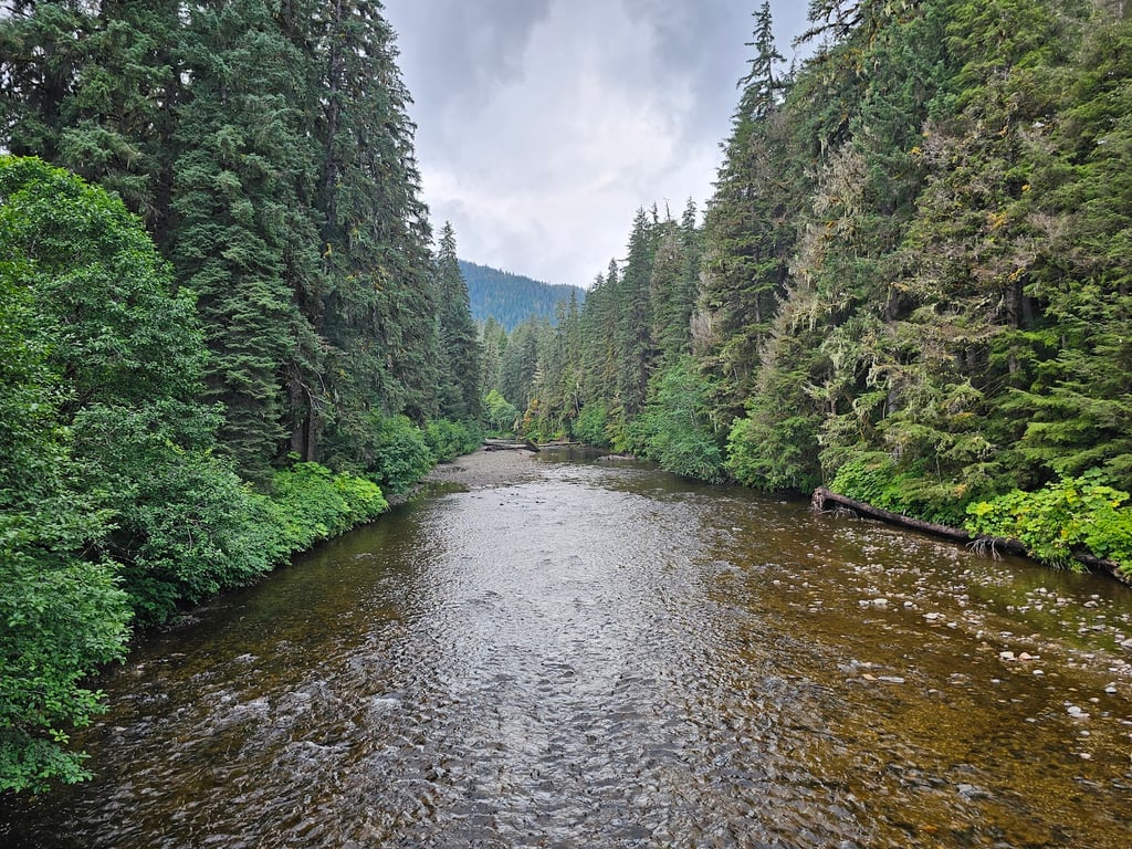 Tongass National Forest