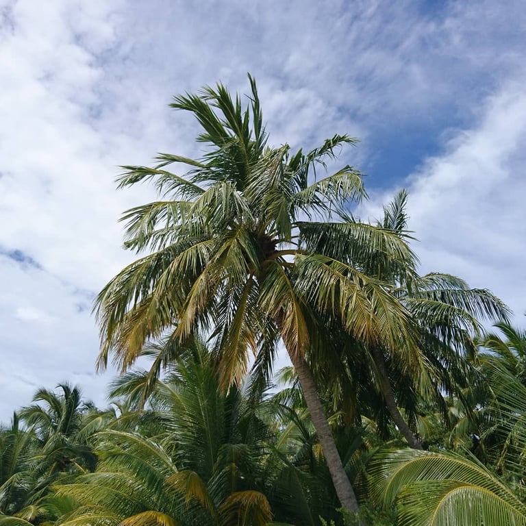 Alimatha Island