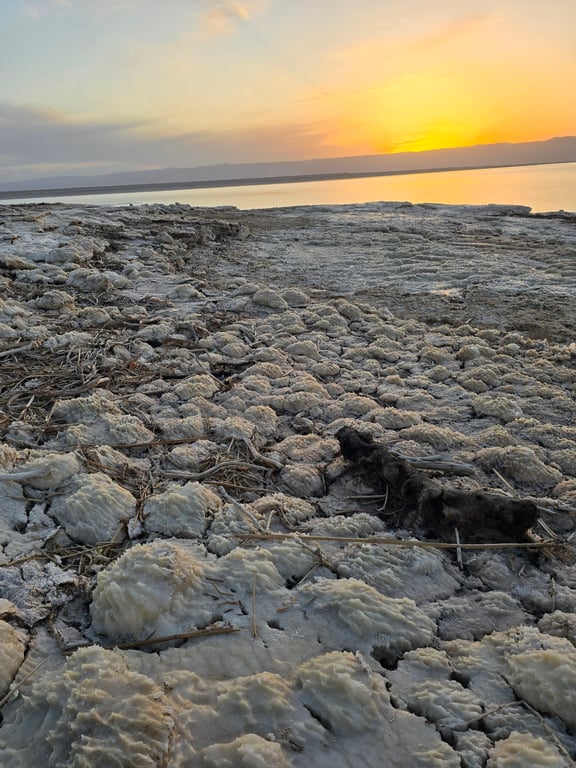 Salt Beach at Al Mazraa