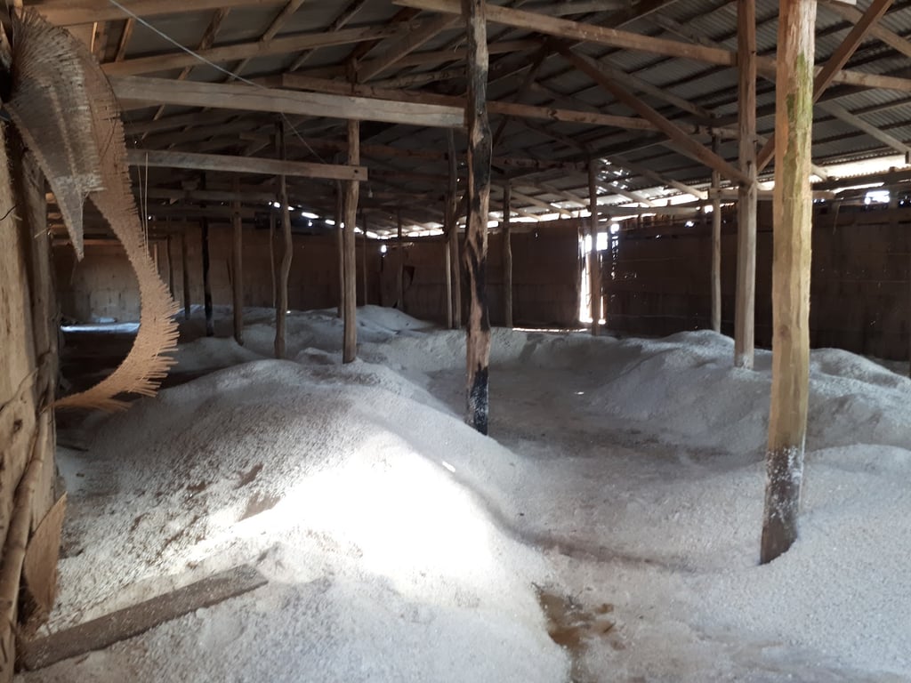 Salt Fields