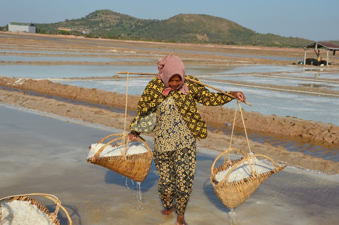 Salt Fields