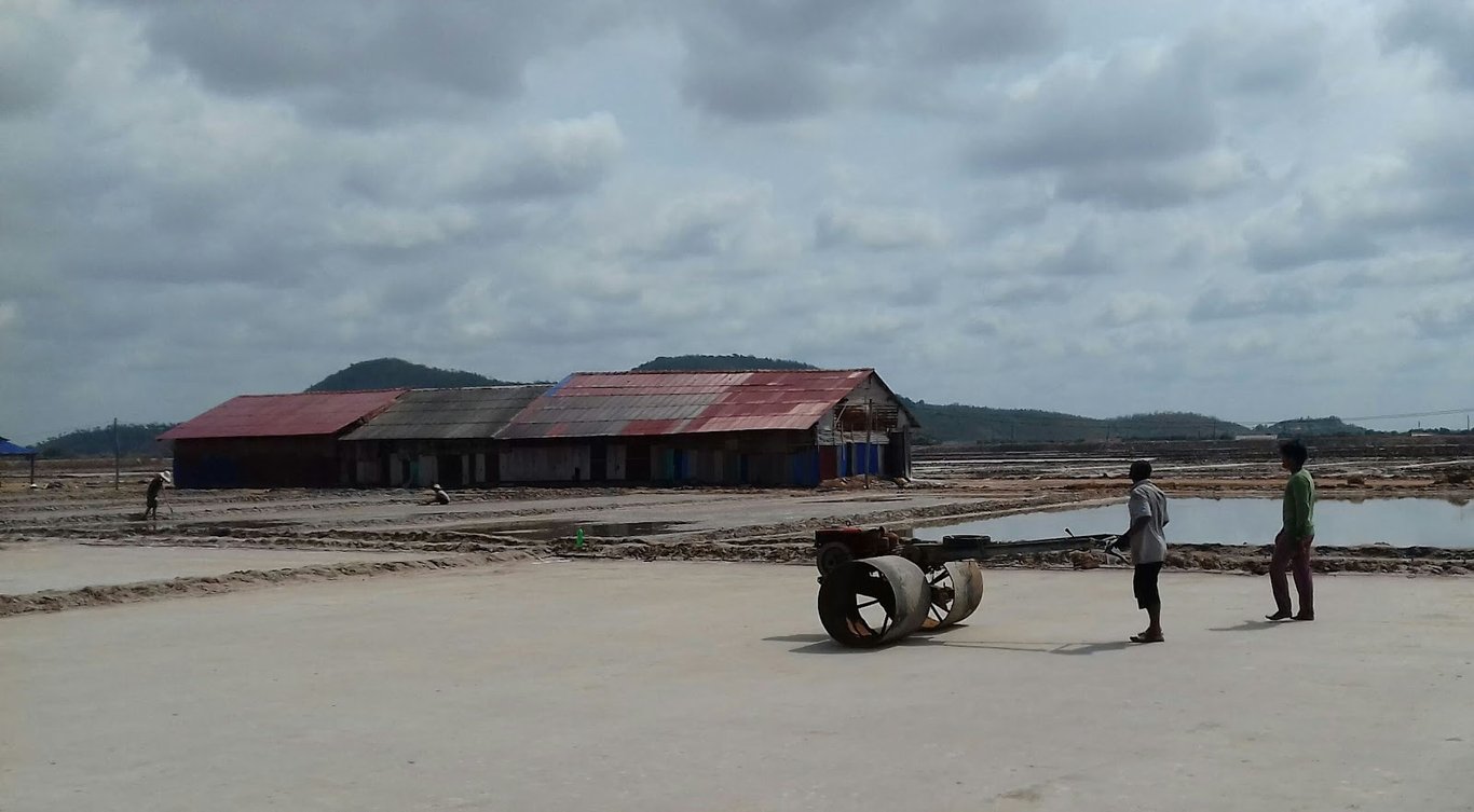 Salt Fields