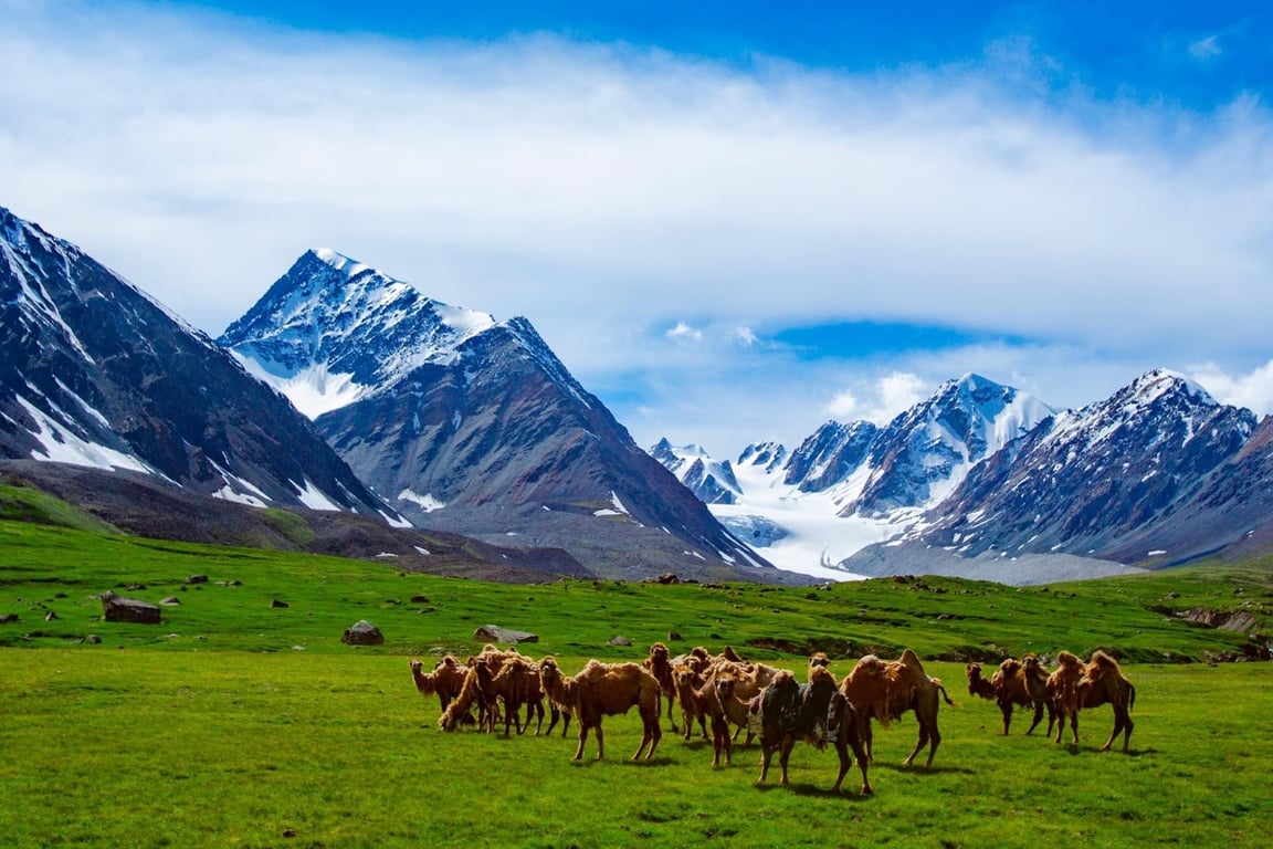 Altai Tavan Bogd NP