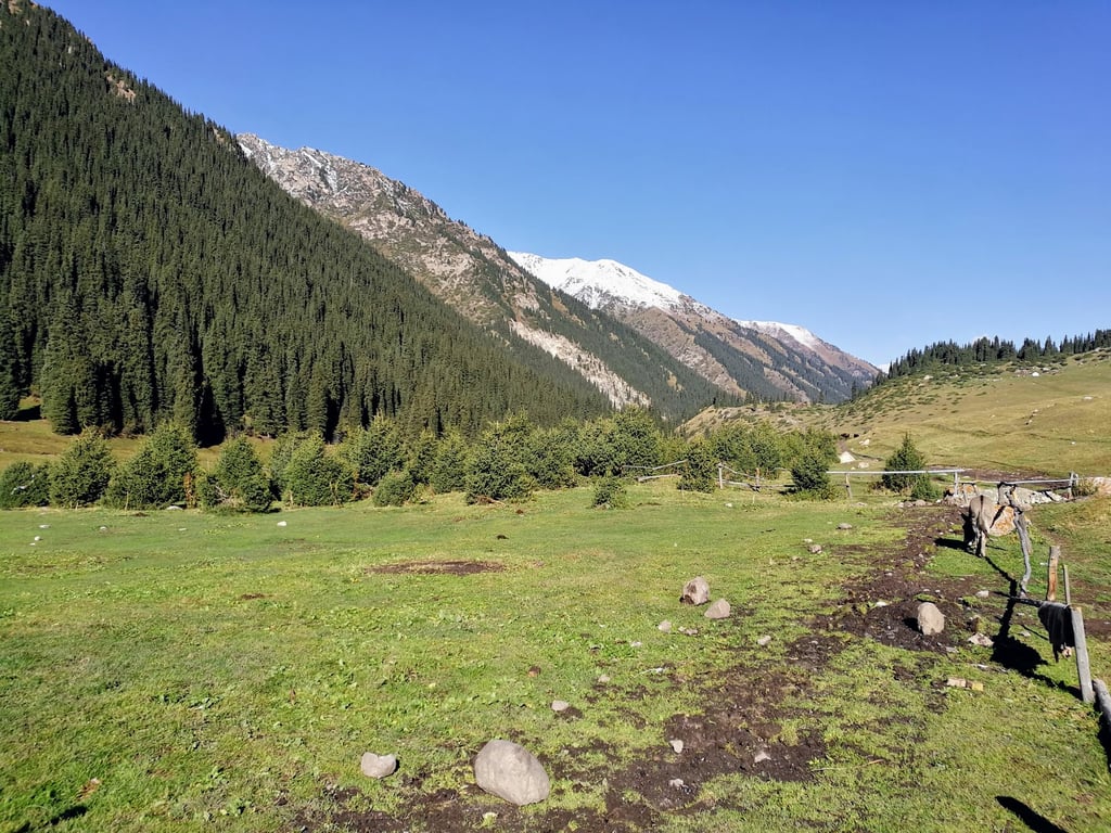 Altyn Arashan Valley