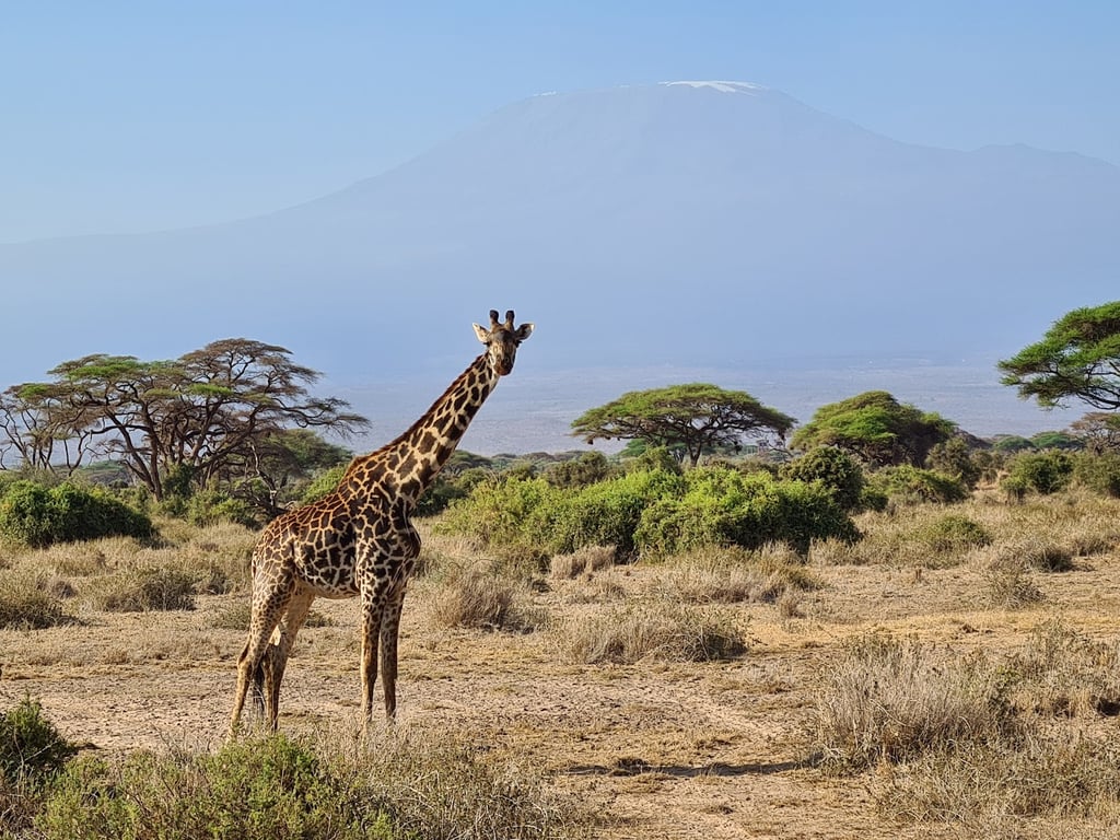 Amboseli National Park