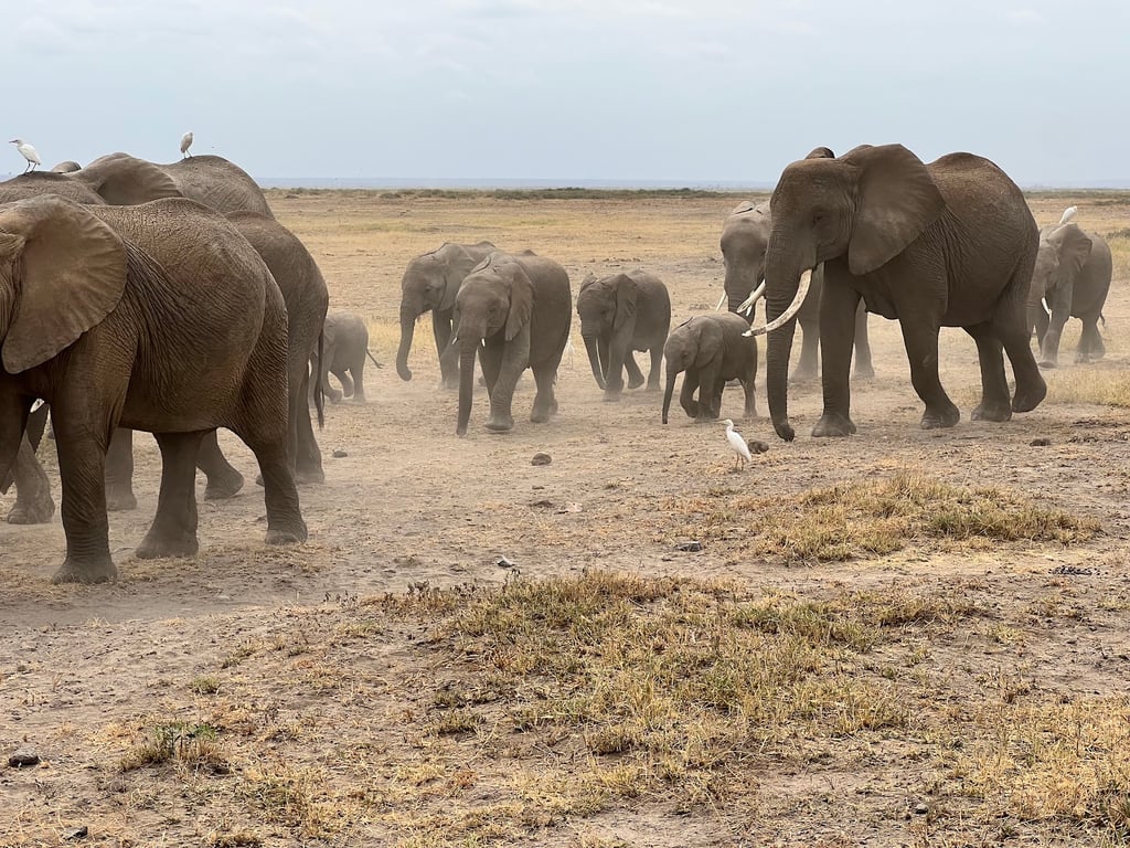 Amboseli National Park