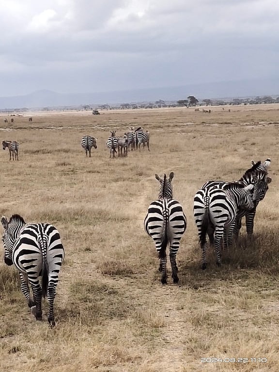 Amboseli National Park