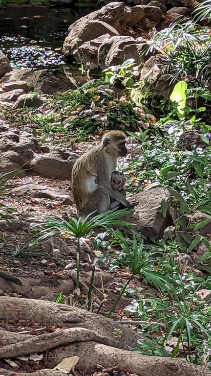 Amboseli National Park