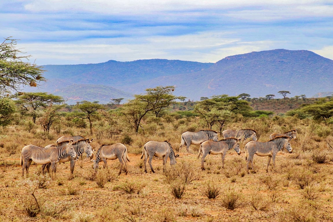Samburu National Reserve