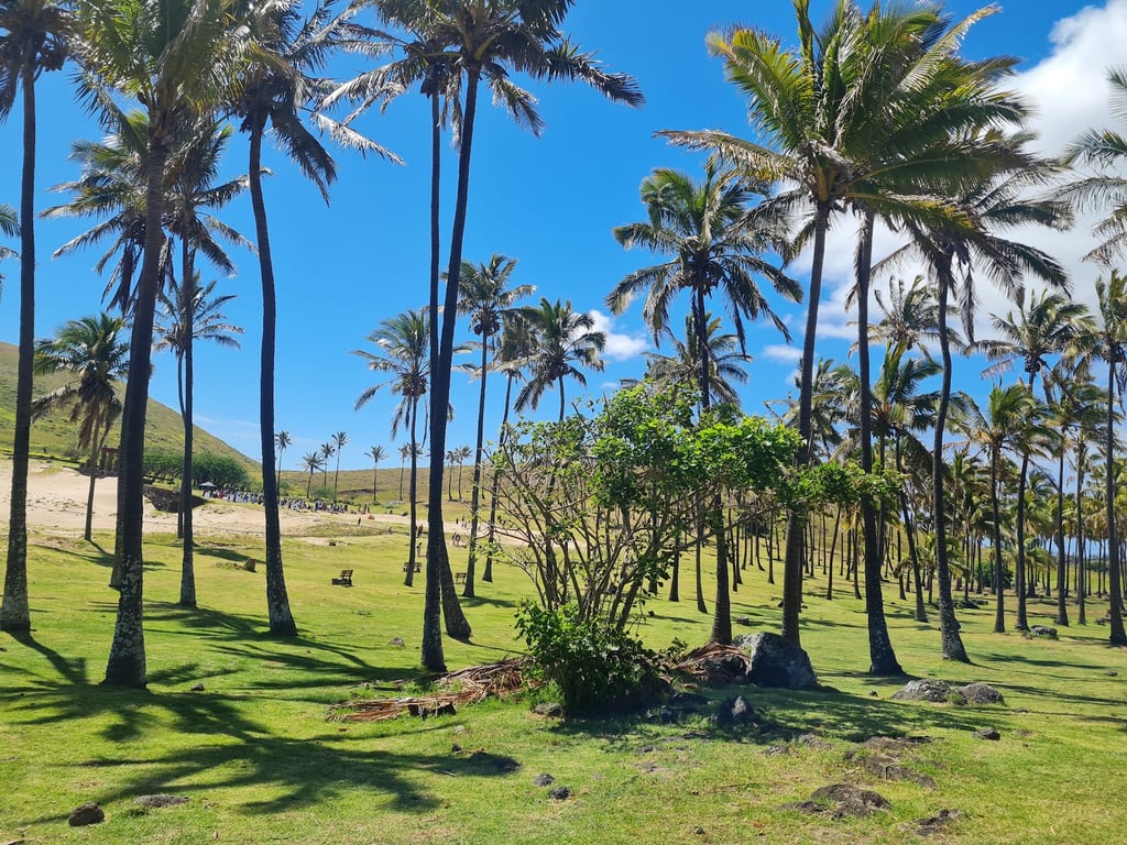 Anakena Beach