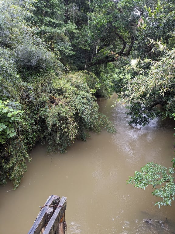 Analamazaotra Reserve
