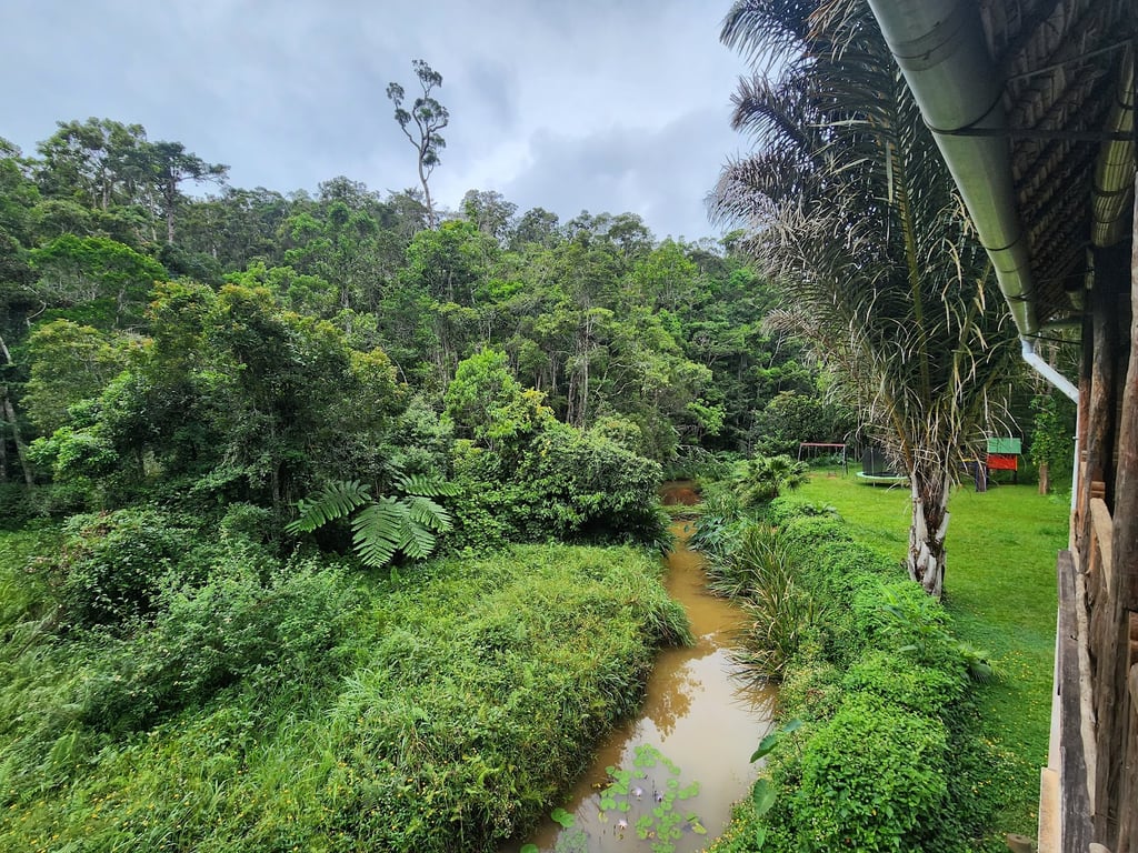 Analamazaotra Reserve