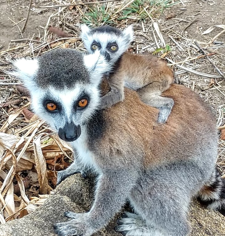 Anja Reserve