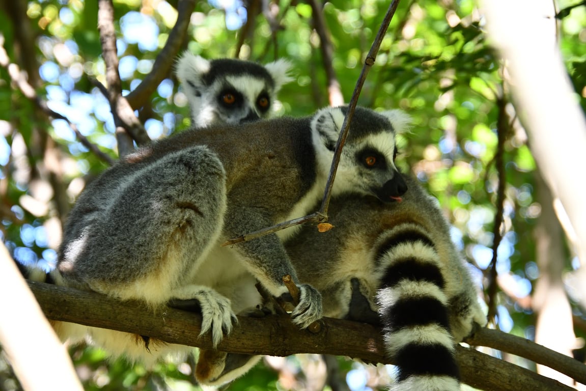 Anja Reserve
