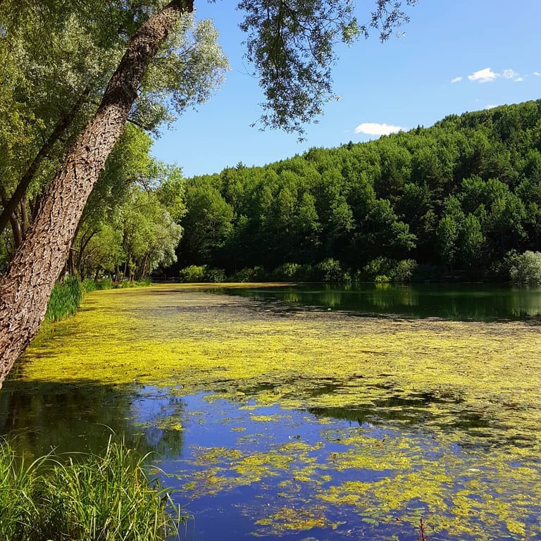 Karagöl Tabiat Parkı