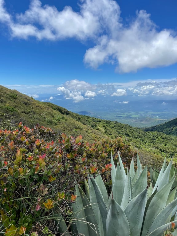 Santa Ana Volcano