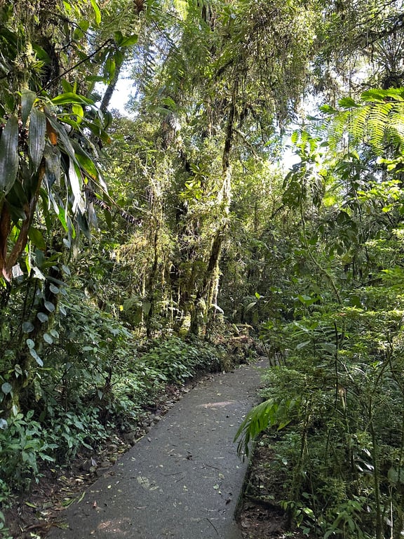 Santa Elena Cloud Forest