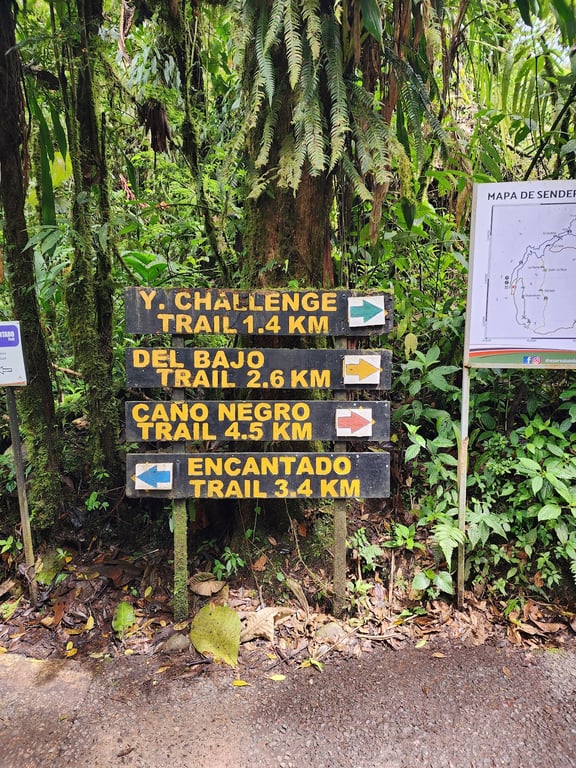 Santa Elena Cloud Forest