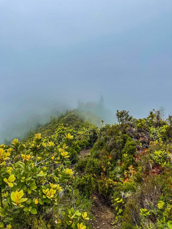 São Miguel Lagoa do Fogo