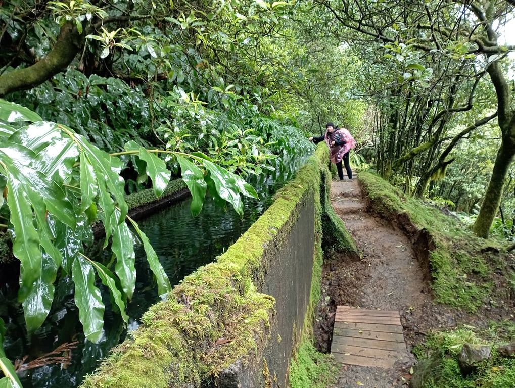 São Miguel Lagoa do Fogo