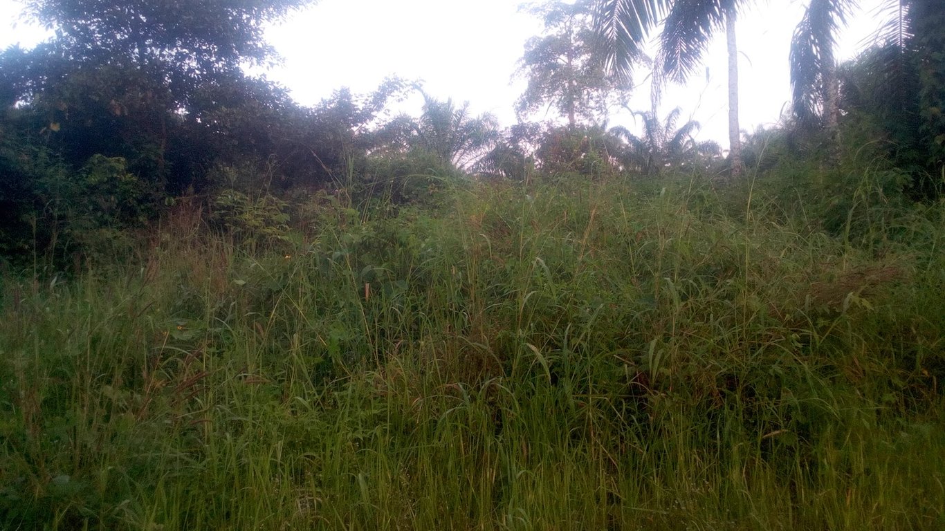 Aso Rock