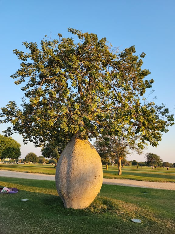 Aspire Park