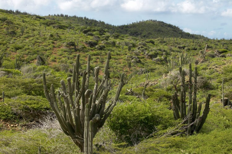 Arikok Hills and Trails