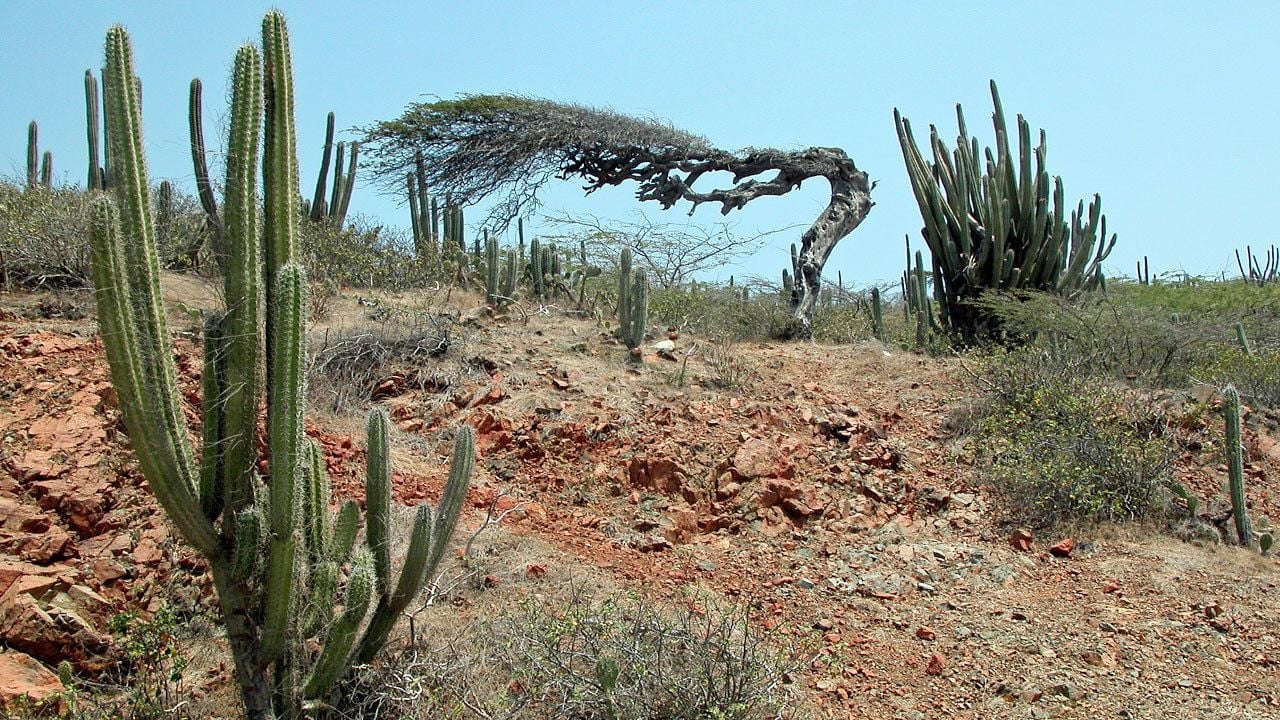 Arikok Hills and Trails