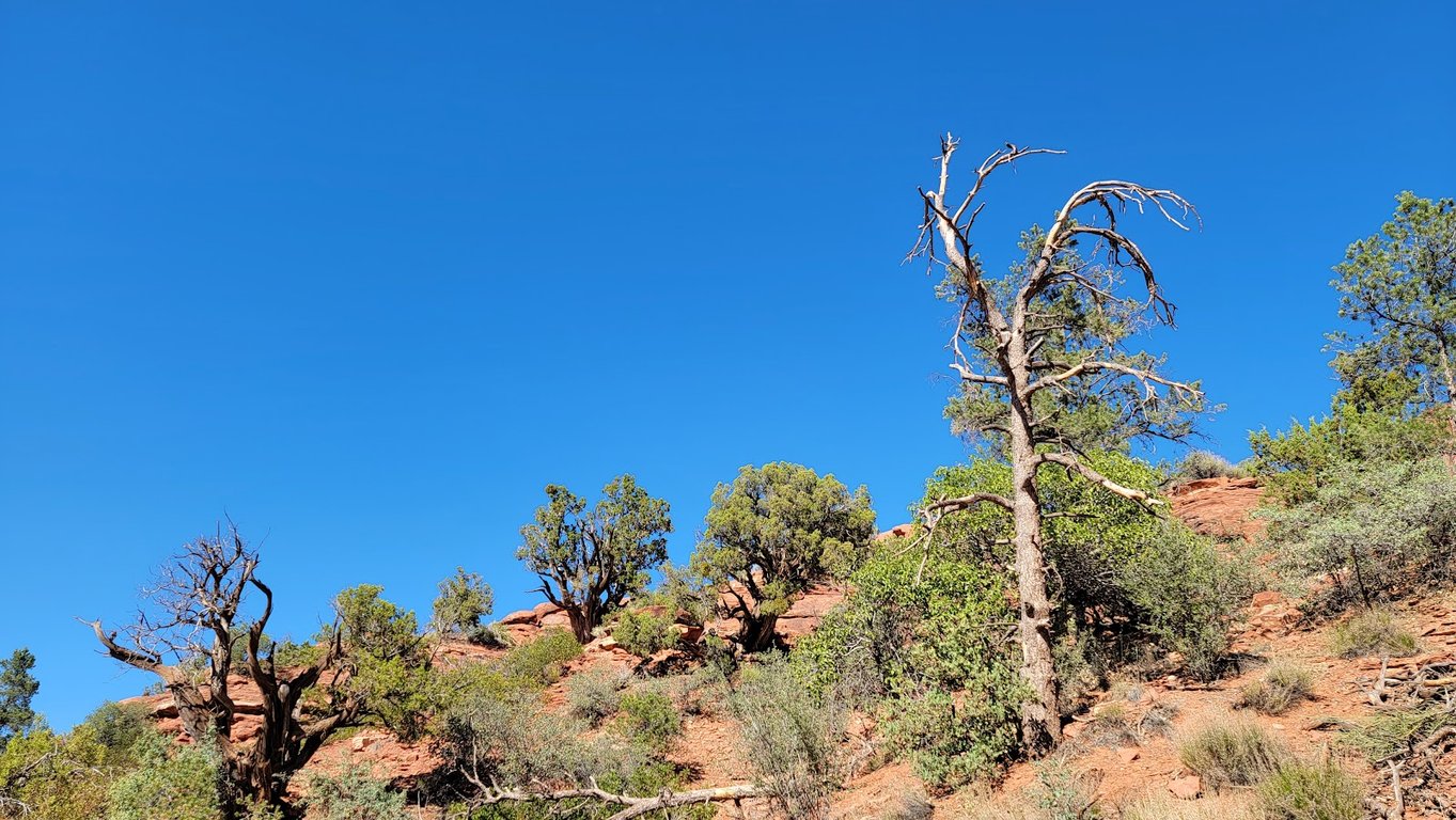 Airport Mesa Overlook