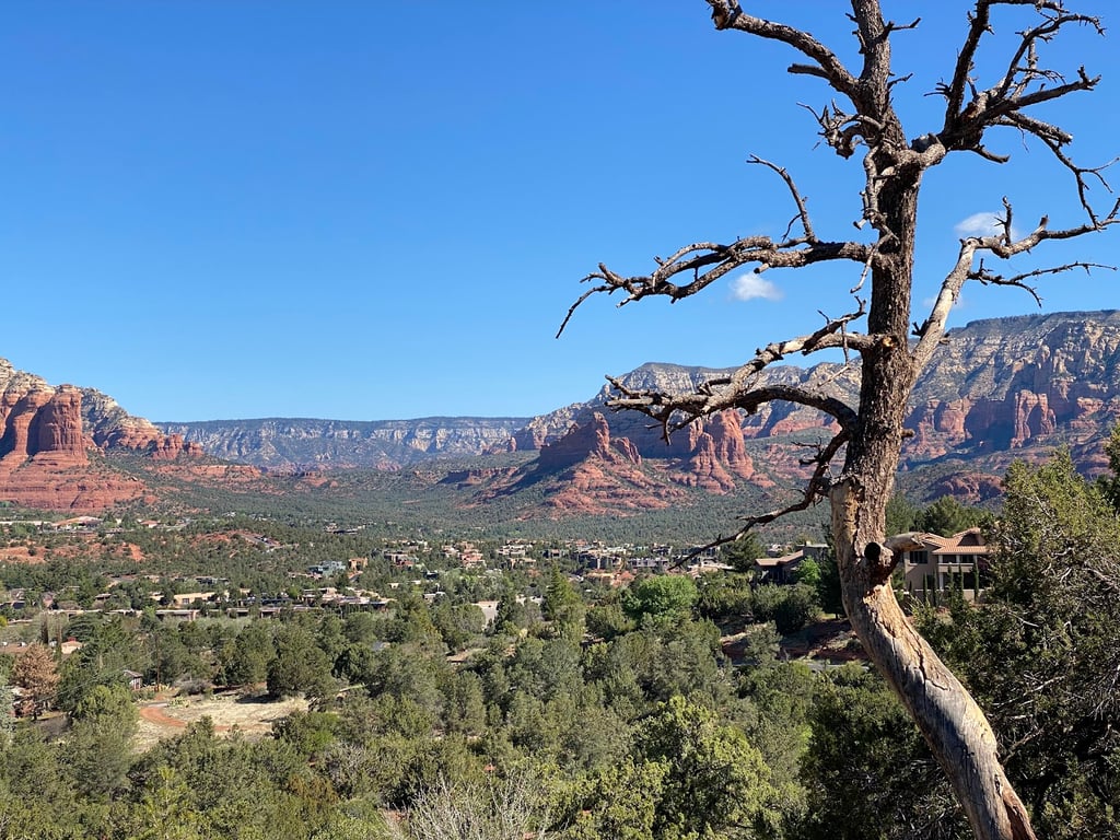 Airport Mesa Overlook
