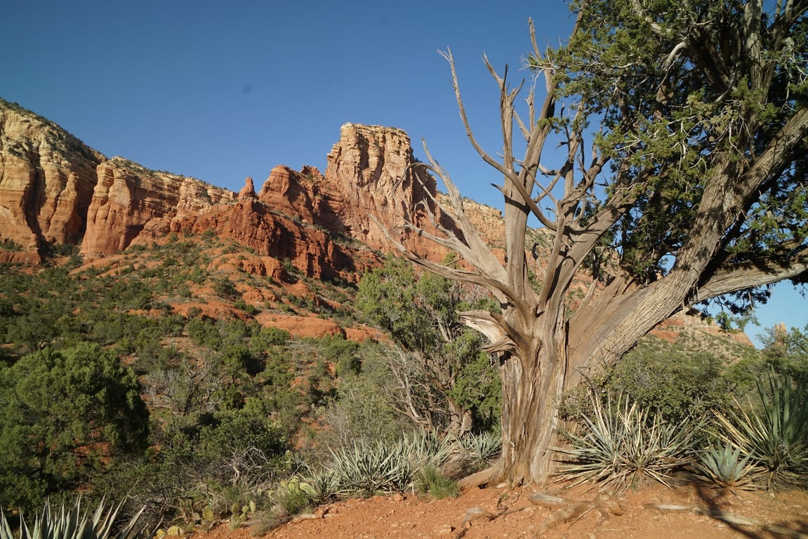 Bell Rock