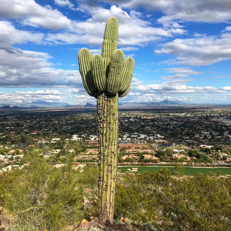 Camelback Mountain