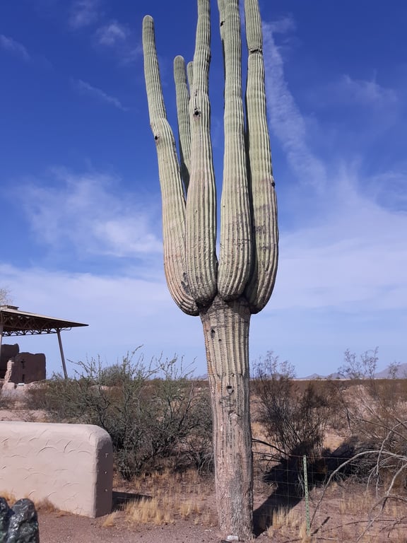 Casa Grande Ruins National Monument
