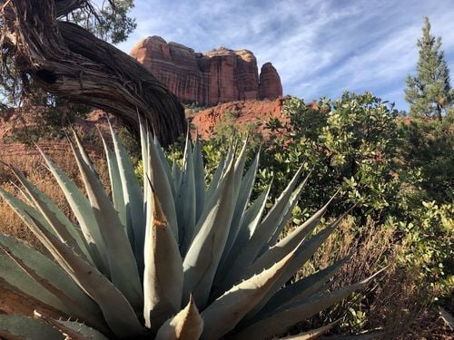 Cathedral Rock