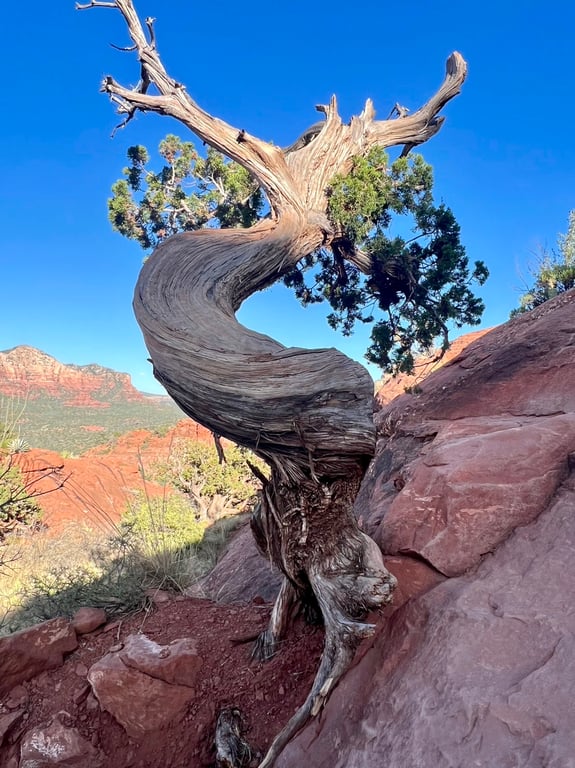Cathedral Rock