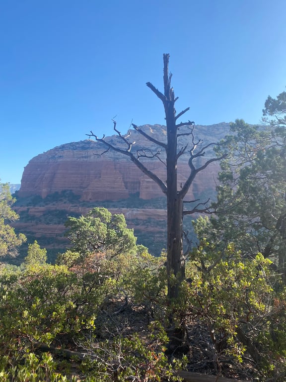 Devil’s Bridge Trail