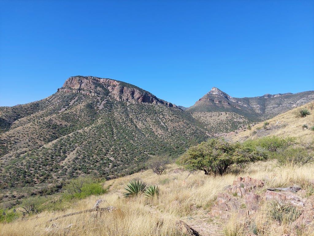 Kartchner Caverns State Park