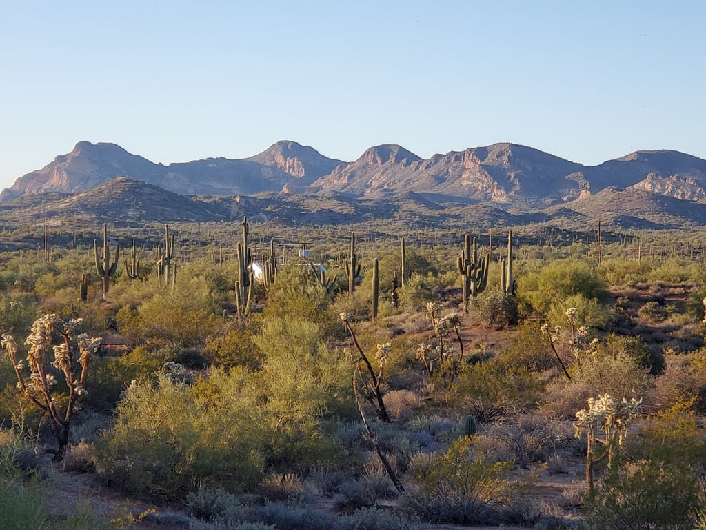 Lost Dutchman State Park